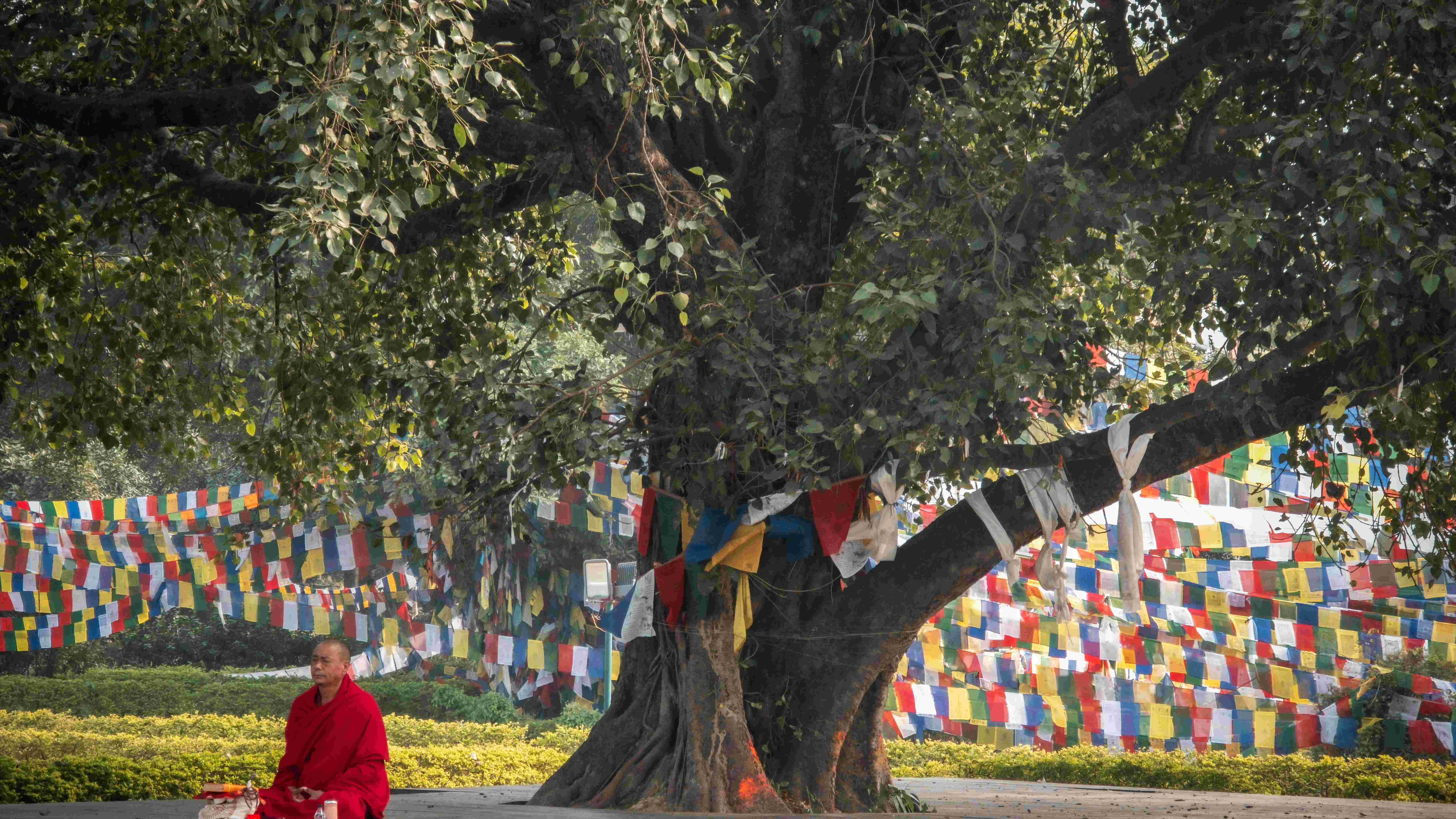 What to Expect on a Yoga and Meditation Retreat in Nepal
