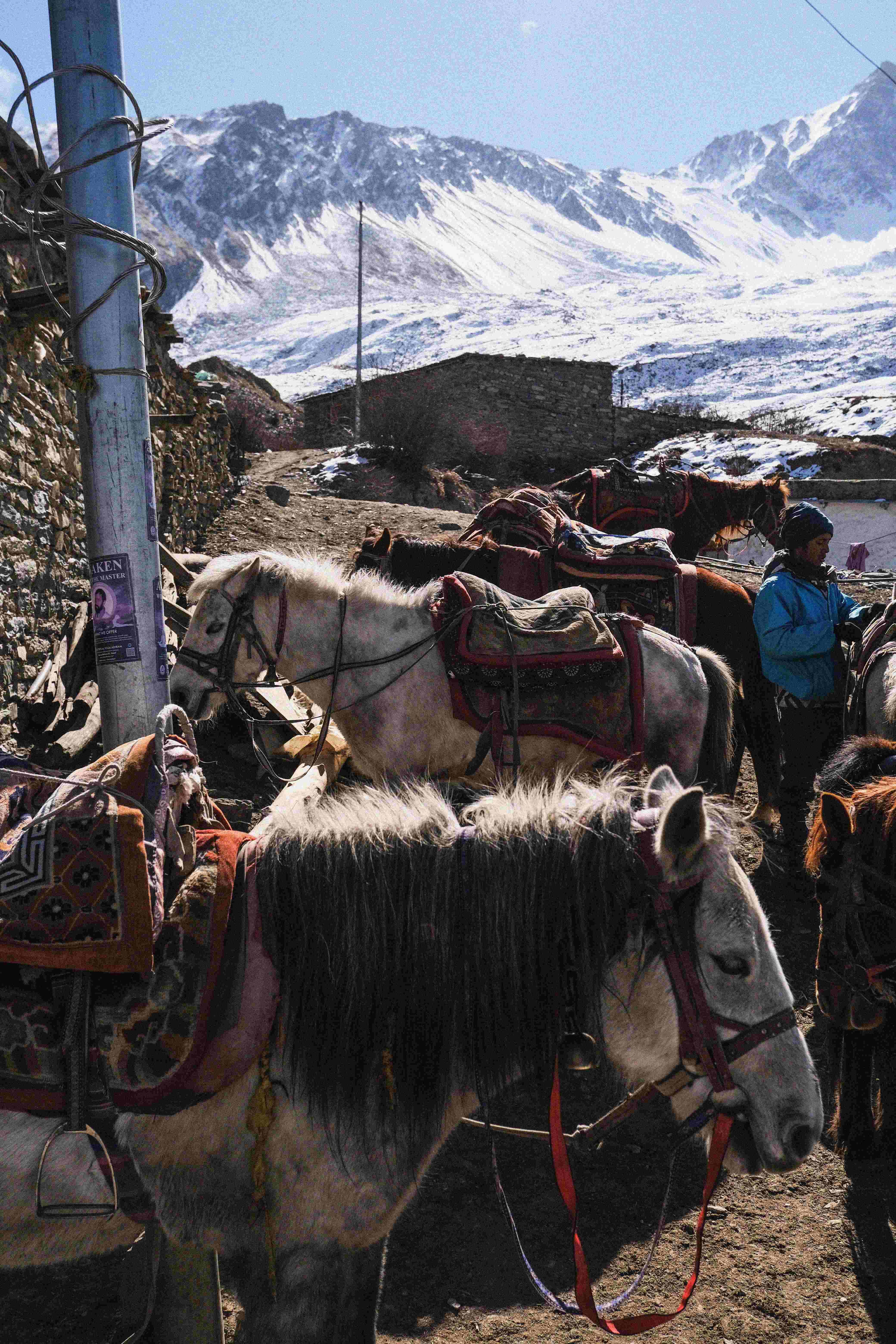 The 20-Day Horseback Journey to Lo Manthang: Following Mustang's Ancient Trails