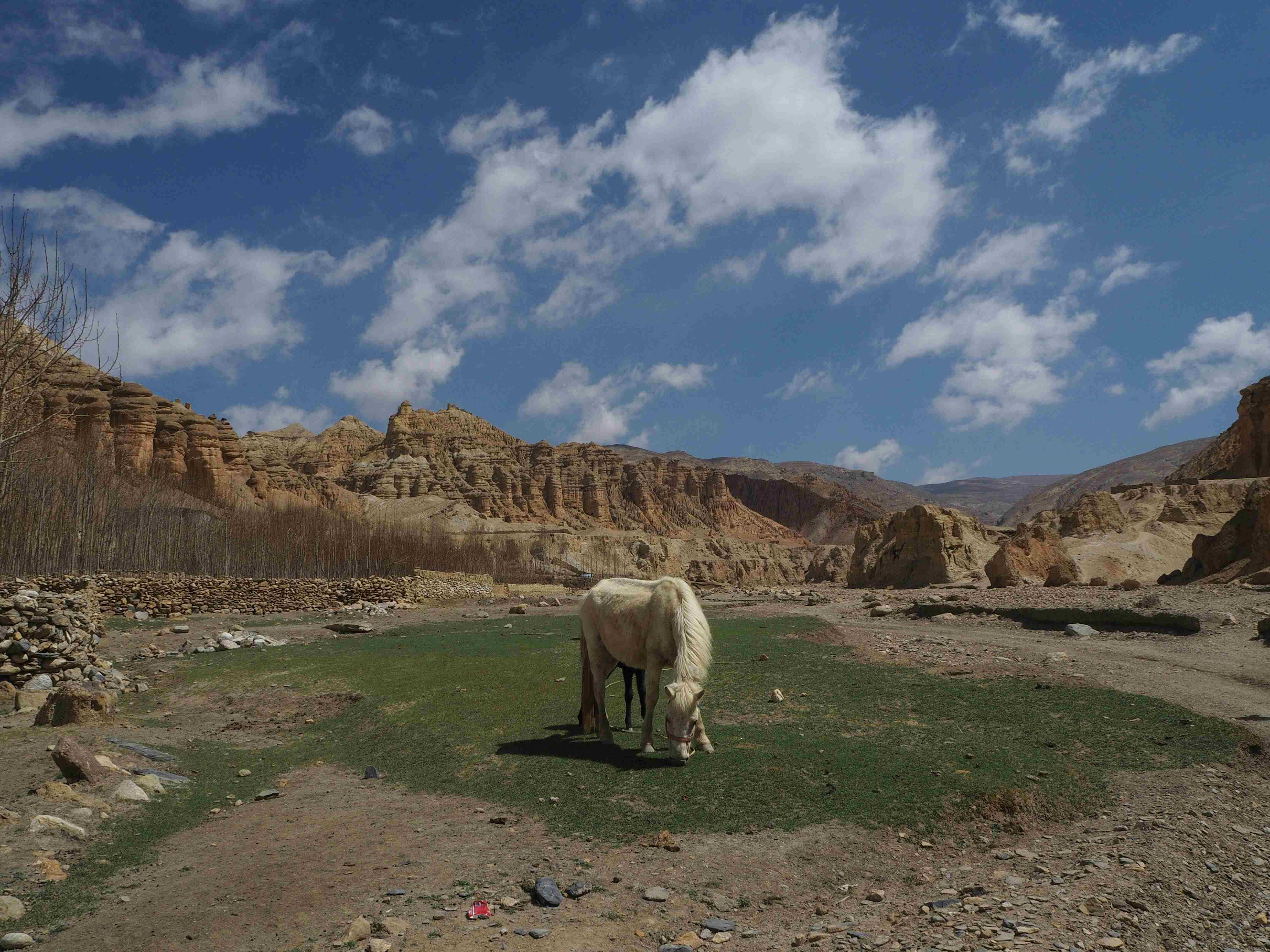 The 13-Day Mustang Horseback Expedition: Riding Through Nepal's Himalayas